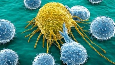 Une molécule capable de combattre le cancer des ovaires et du pancréas est sur le point d'être créée