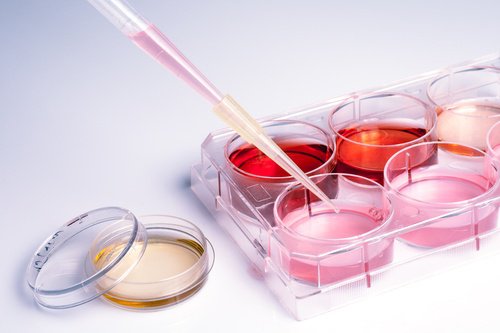 molécule pour combattre le cancer des ovaires : espérances pour le futur