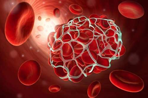 9 aliments qui préviennent la thrombose et l’embolie