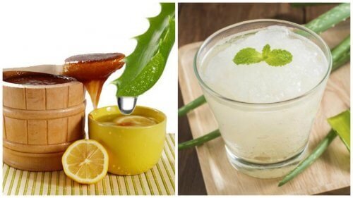 Delicieux-smoothie-multivitimine-pour-la-vue-et-le-metabolisme-500x281