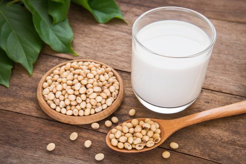 laits végétaux de soja