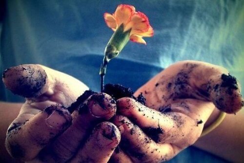 Mains-et-fleurs-500x334