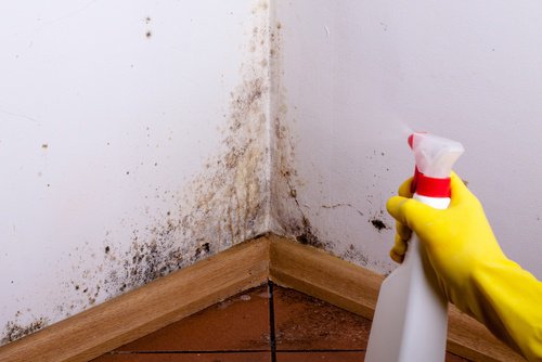 Taches d'humidité sur les murs et les plafonds ? Découvrez la solution !