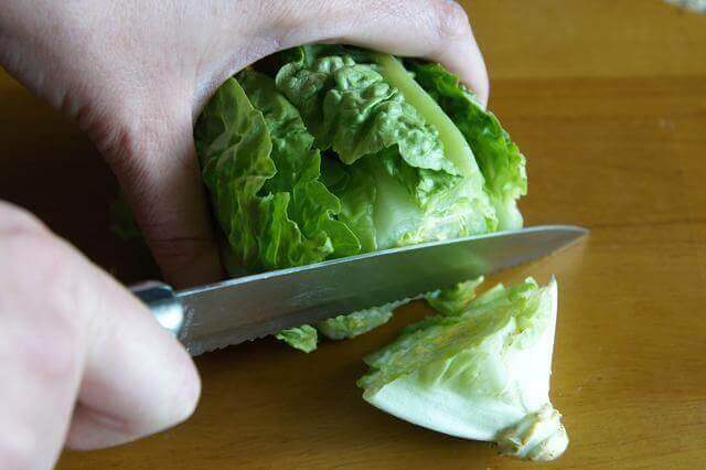 Conserver les aliments au congélateur et éviter le gaspillage : salade