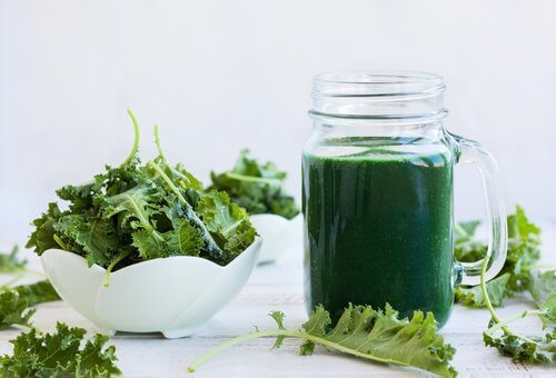 bienfaits de la chlorophylle dans l’alimentation alcaline