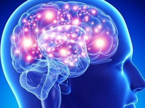 Les meilleures herbes et épices pour votre cerveau