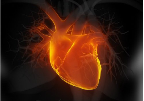 6 indices précoces d’insuffisance cardiaque