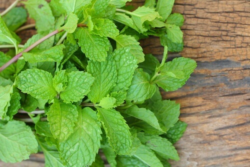 La menthe dans la boisson.