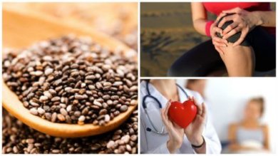 9 bienfaits de la consommation de graines de chia