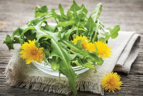 infusions contre la cellulite: ananas et pissenlit