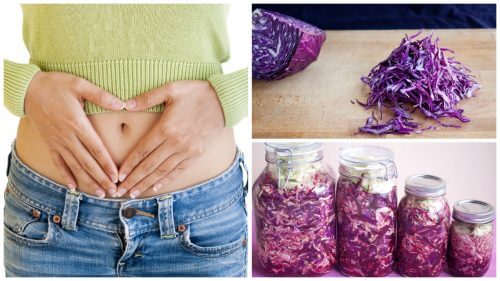 Préparez une choucroute violette pour renforcer votre flore intestinale