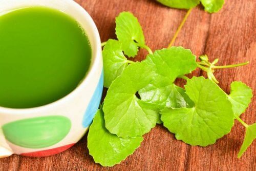 propriétés de la centella asiatica contre la cellulite