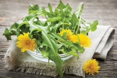 5 raisons de boire une infusion au pissenlit le soir