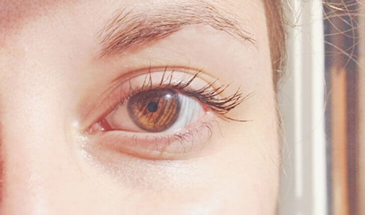 couleur marron