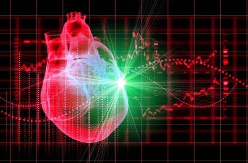 bienfaits de la consommation de chou rouge pour le coeur