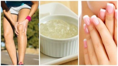 11 vertus de la gélatine sans goût à connaître