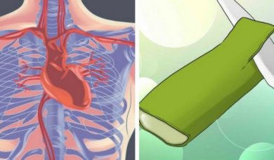5 manières puissantes dont l'aloe vera prend soin de votre coeur