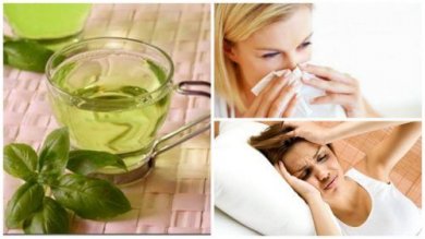 8 bienfaits de la consommation d'infusion au basilic tous les jours