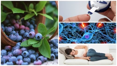 8 bienfaits surprenants des myrtilles