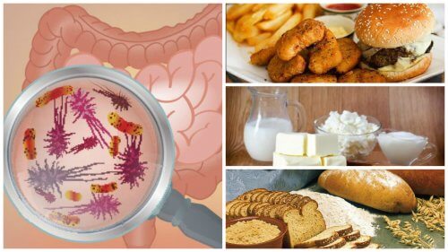 Les 7 aliments qui affectent votre santé intestinale