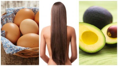 Accélérer la croissance des cheveux avec 8 aliments