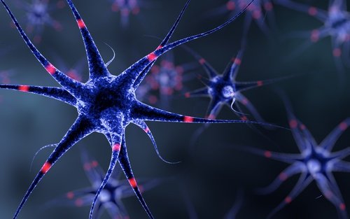 6 astuces pour renforcer votre système nerveux