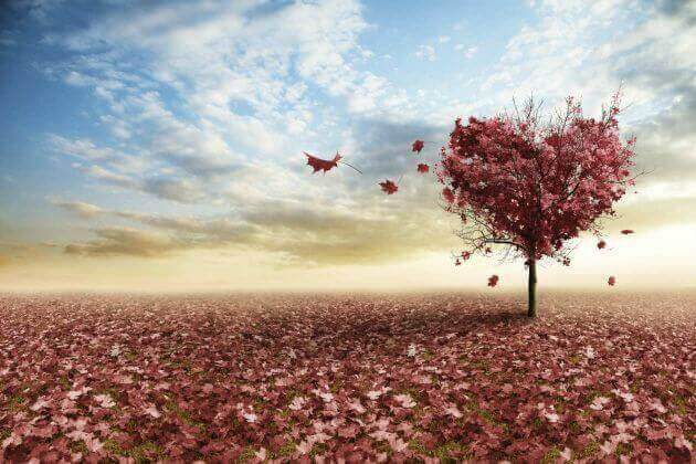 Importance du manque d'affection.