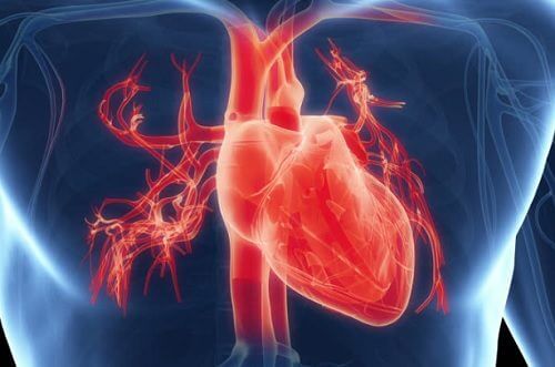 7 symptômes qui prouvent que votre cœur ne travaille pas comme il le devrait