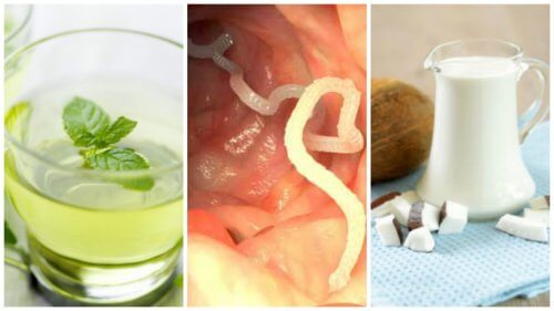 Lutter contre les parasites intestinaux avec ces 5 traitements maison