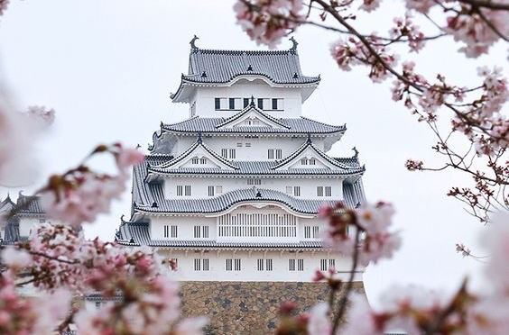 la sagesse japonaise