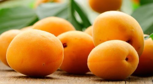 abricot dans la liste des fruits riches en potassium