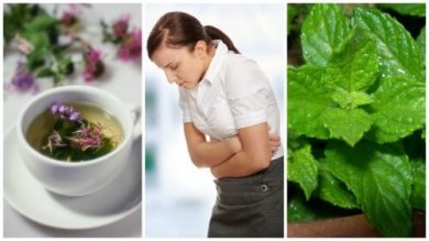 Soulagez le syndrome de l’intestin irritable avec ces 5 herbes curatives