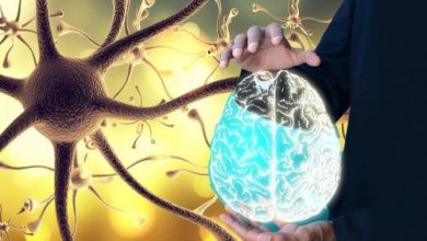 Comment stimuler le nerf vague pour améliorer notre bien-être