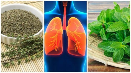 8 herbes à utiliser pour améliorer la santé de vos poumons