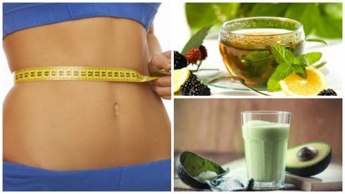 4 manières de consommer du thé vert pour brûler des graisses et perdre du poids