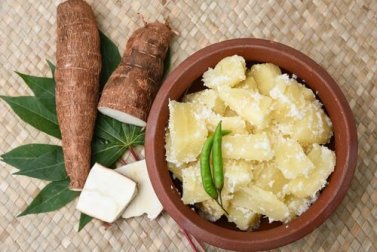 9 propriétés médicinales du yuca, ou manioc