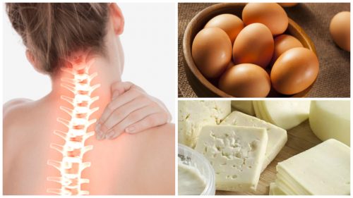 Renforcez votre santé osseuse en incluant à votre régime ces 8 aliments riches en calcium Renforcez votre santé osseuse en incluant à votre régime ces 8 aliments riches en calcium