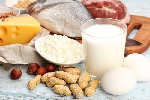 5 aliments riches en protéines que vous devez inclure à votre régime 5 aliments riches en protéines que vous devez inclure à votre régime