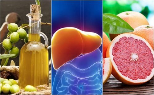 Prenez soin de votre foie en consommant davantage ces 8 aliments Prenez soin de votre foie en consommant davantage ces 8 aliments
