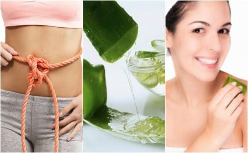 9 bienfaits médicinaux de l’aloe vera