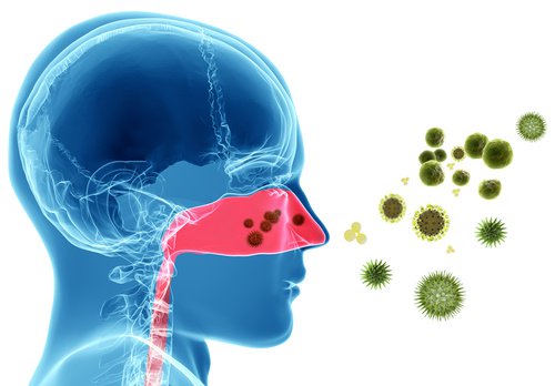 traitement de l'asthme et allergie de printemps