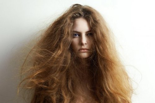 5 ingrédients naturels pour traiter les cheveux secs