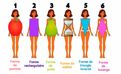 les différentes formes de corps