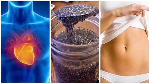 Les graines de chia ? 8 raisons d'en consommer !