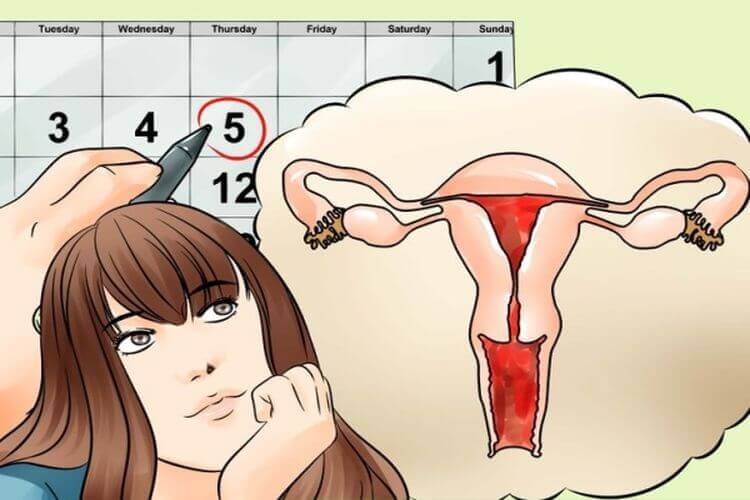 arrêt de travail pour menstruations douloureuses.