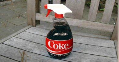 Savez-vous ce que le Coca Cola provoque dans votre corps ?