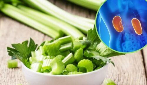 Douleurs aux reins : 5 remèdes aux herbes