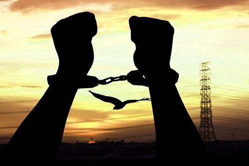 Rechercher l'affection.