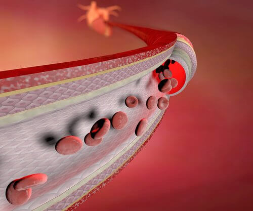 vaisseaux sanguins et influence sur les chevilles gonflées