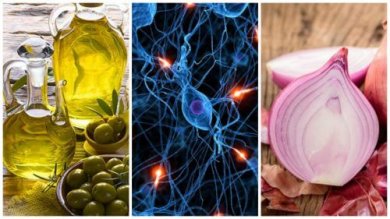 8 aliments pour prendre soin de son cerveau